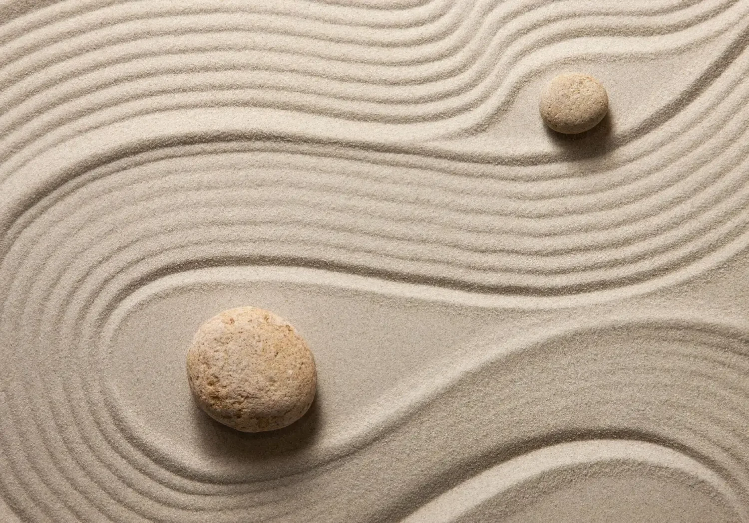 qtq80-cjsfsO-landscape-5c80ec49eef7bdb83c6ad0754497750d- (1)